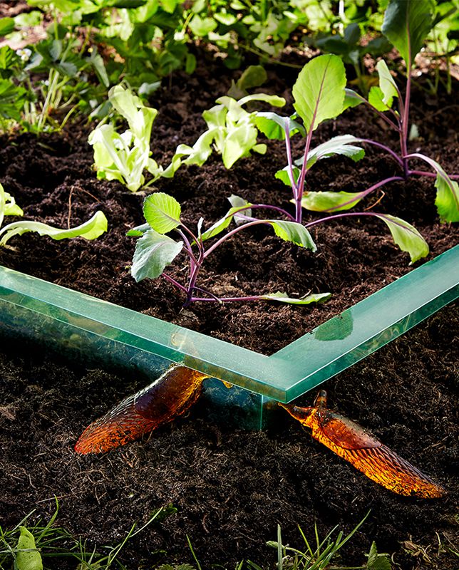 Odoo • Imagen y texto