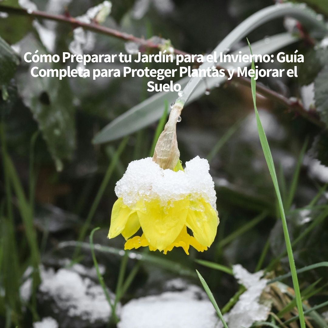 Odoo - Prueba 3 a tres columnas