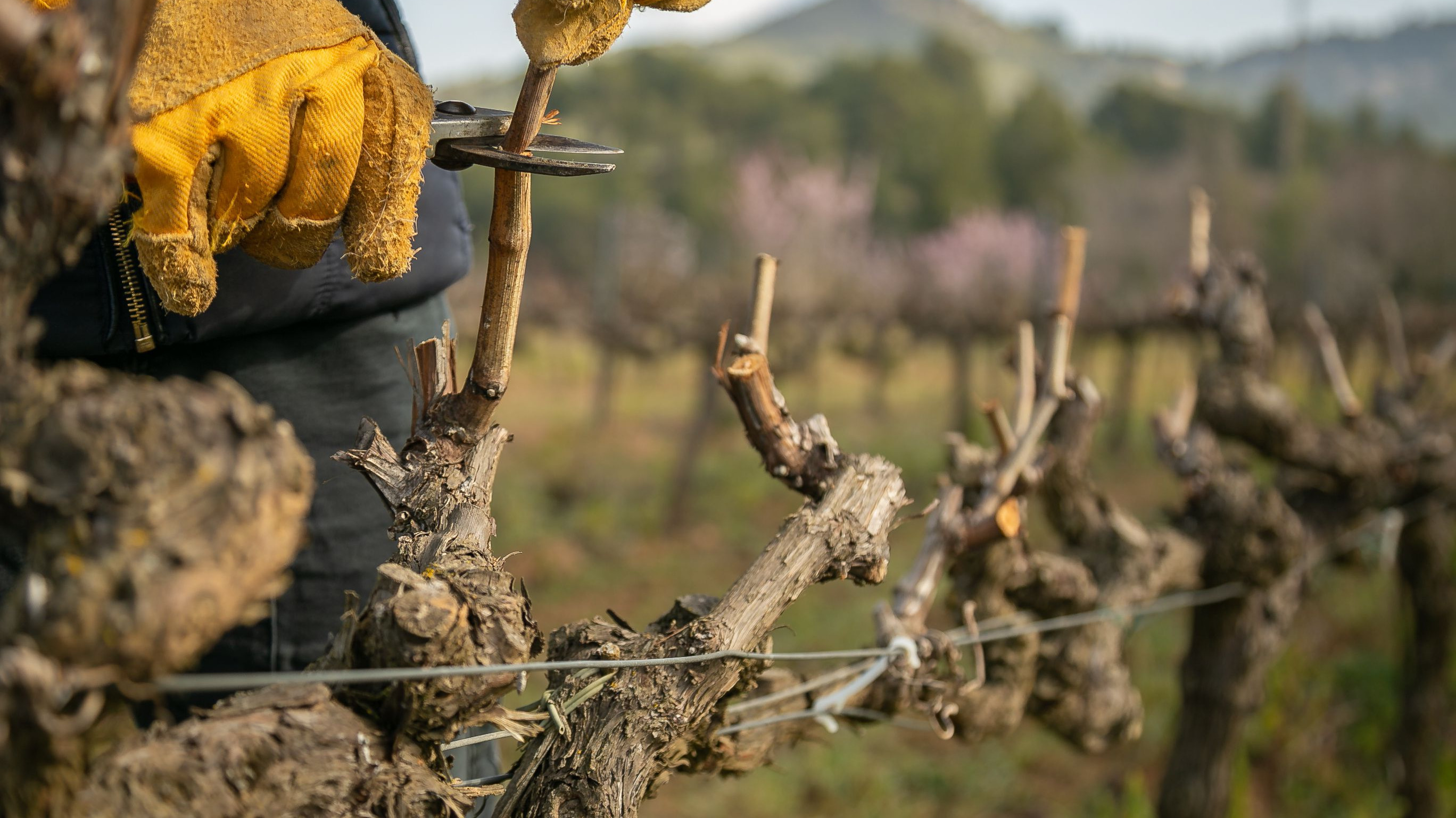 Odoo - Prueba 1 a tres columnas