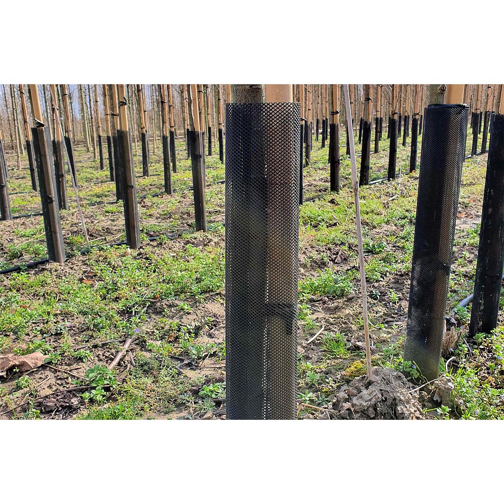 Protector de Árboles Flex Guard 15 x 80 cm - Caja de 75 uds