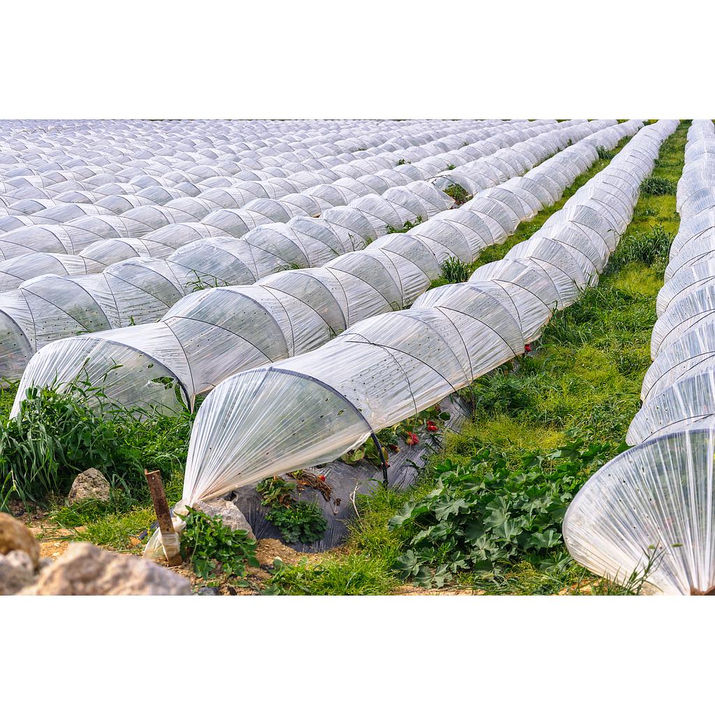 VARILLA PARA MICRO TÚNEL 3.400 UNIDADES