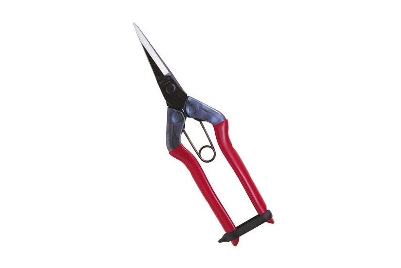 TIJERA DE RECOLECCIÓN CHIKAMASA T-550/T-552 HOJA LARGA