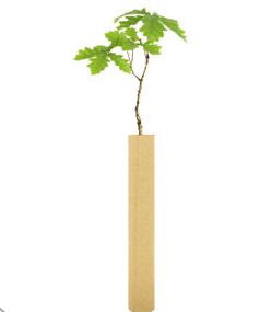 Protector de Árboles Biodegradable ArboShield Bio 60 cm – Caja de 120 uds