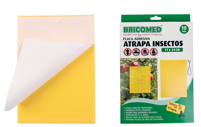 Placa Adhesiva - Atrapa Insectos | 10 udes.