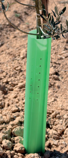 Protector de Árboles Tubo Abierto Perforado 70 cm - Caja de 200 uds