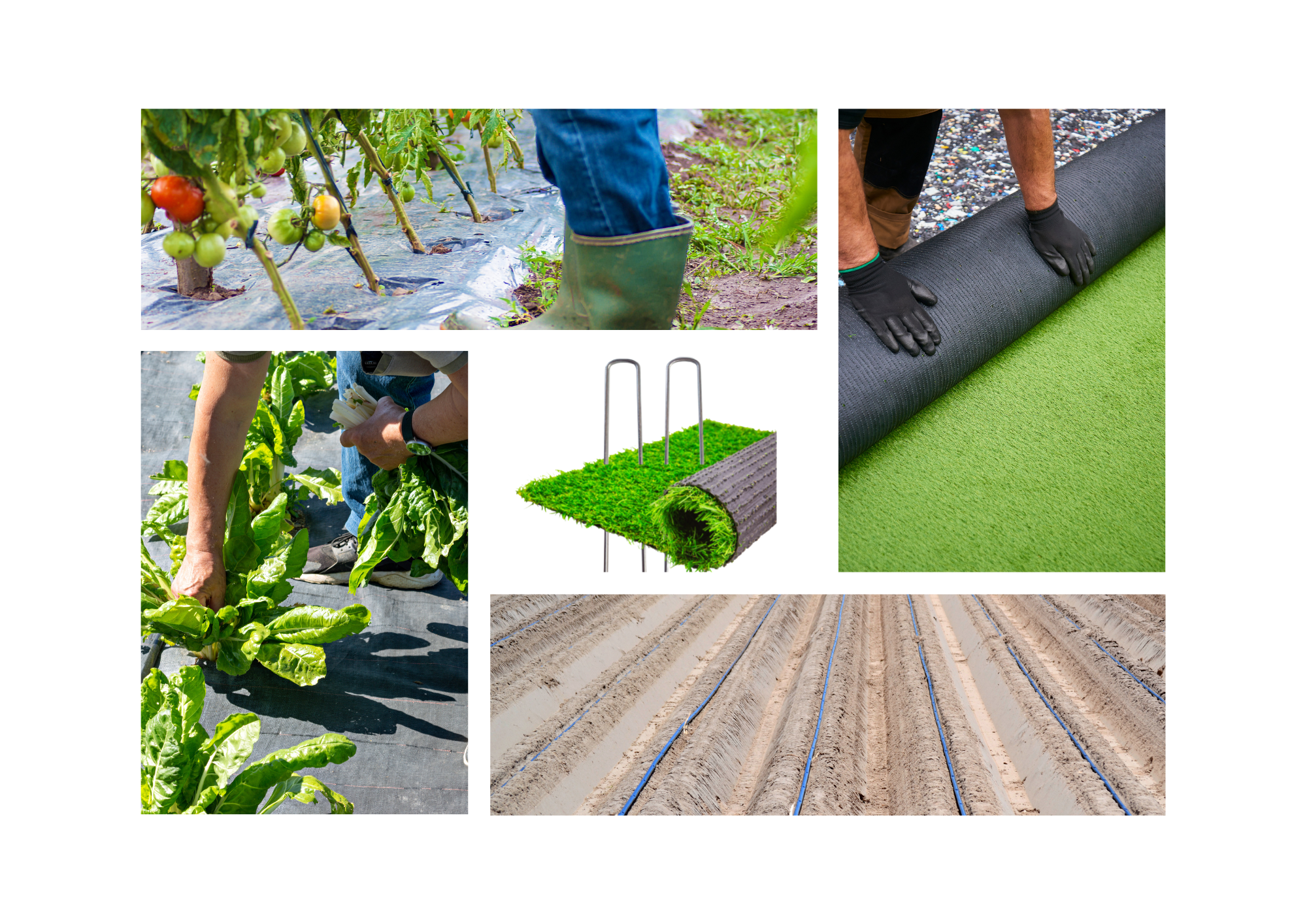 GRAPAS DE FIJACION  GREEN 15 X 3 X 15 CM. CAJA 300 UD.