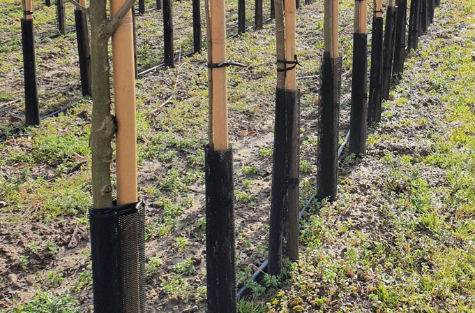 PROTECTOR FLEX GUARD 15 X 55 CM NEGRO 75 UDES