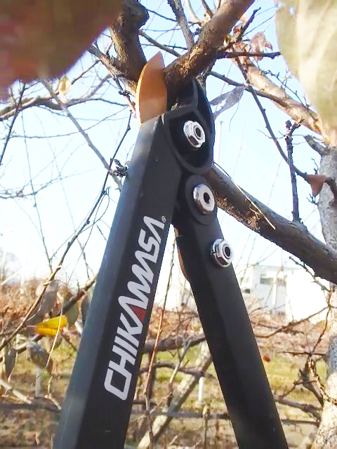 PODADORA CHIKAMASA LOPPER LP-450