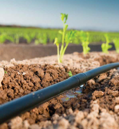 TUBO GOTERO INTEGRADO  AUTOCOMPENSANTE