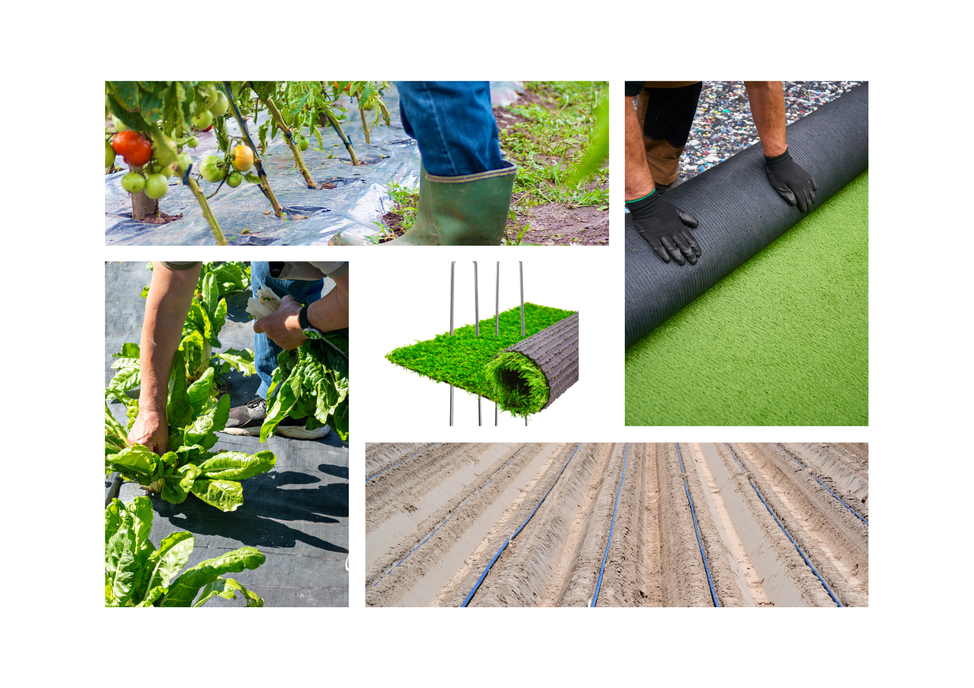 GRAPAS DE FIJACION 15 X 8 X 15 DIAMETRO 6 CAJA 100 UDS.