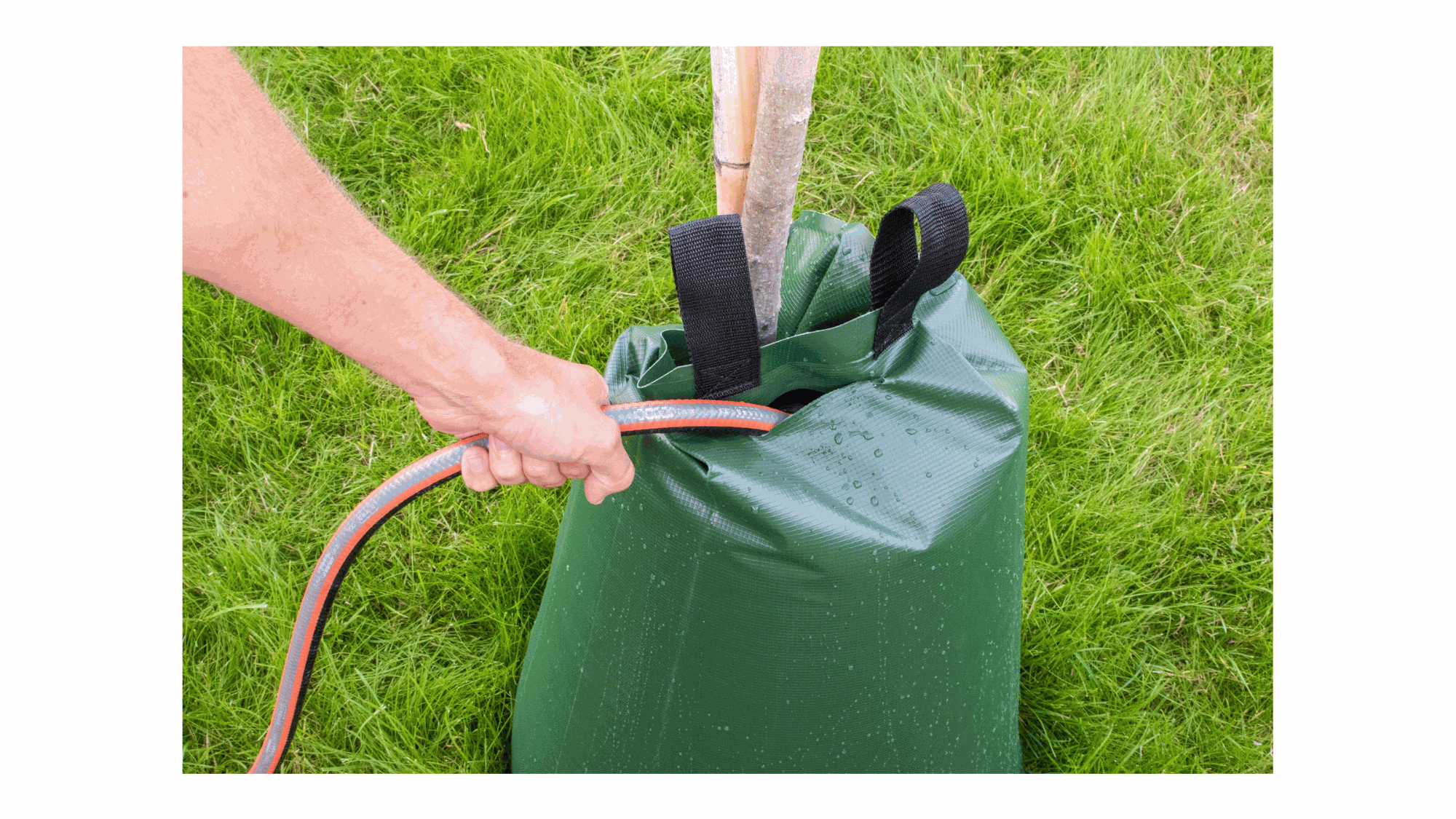 Odoo - Prueba 3 a tres columnas