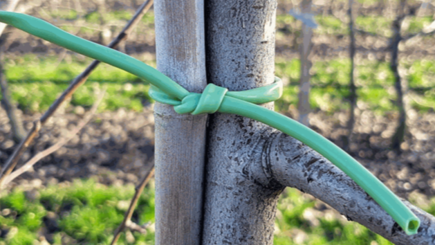 Odoo - Prueba 1 a tres columnas