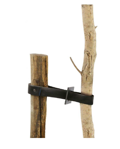 Atador para Árboles - BOOMBAND | Hebilla + Clavos