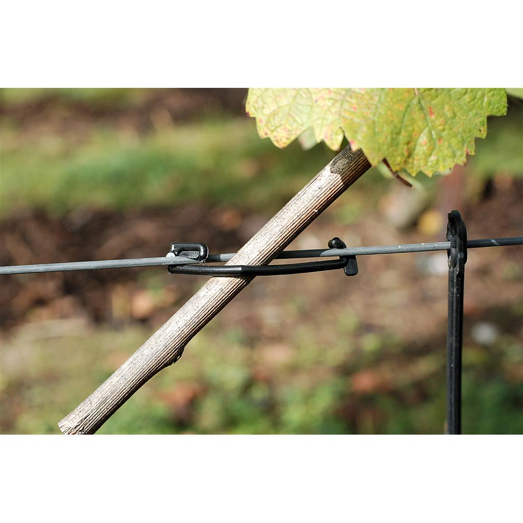 CLIPS PARA FRUTOS REBSTAR NEGRO