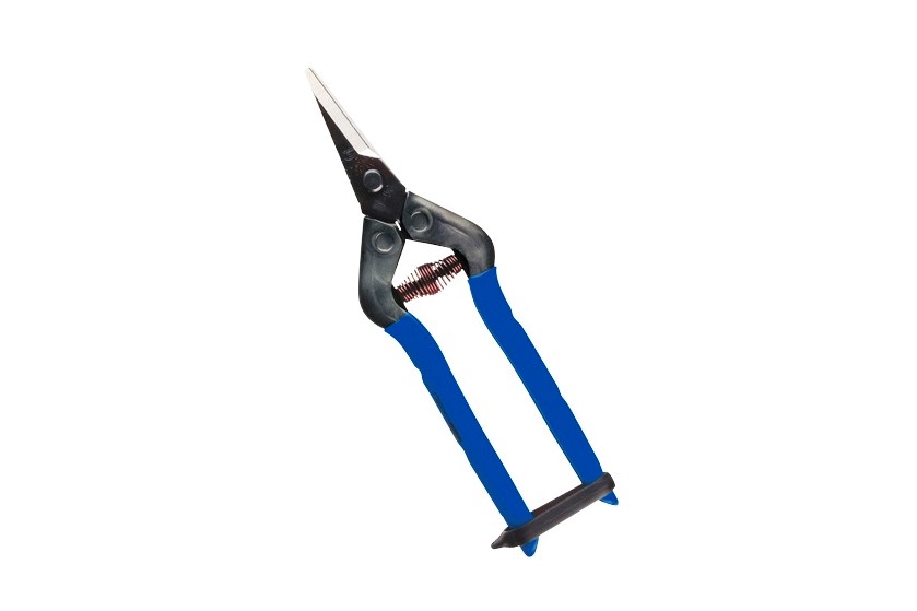 TIJERA DE RECOLECCIÓN CHIKAMASA T-5C HOJA PUNTIAGUDA