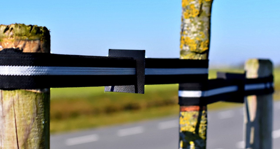 Clavos para Árboles + Collar para Atar 25 mm | Kit 50 udes