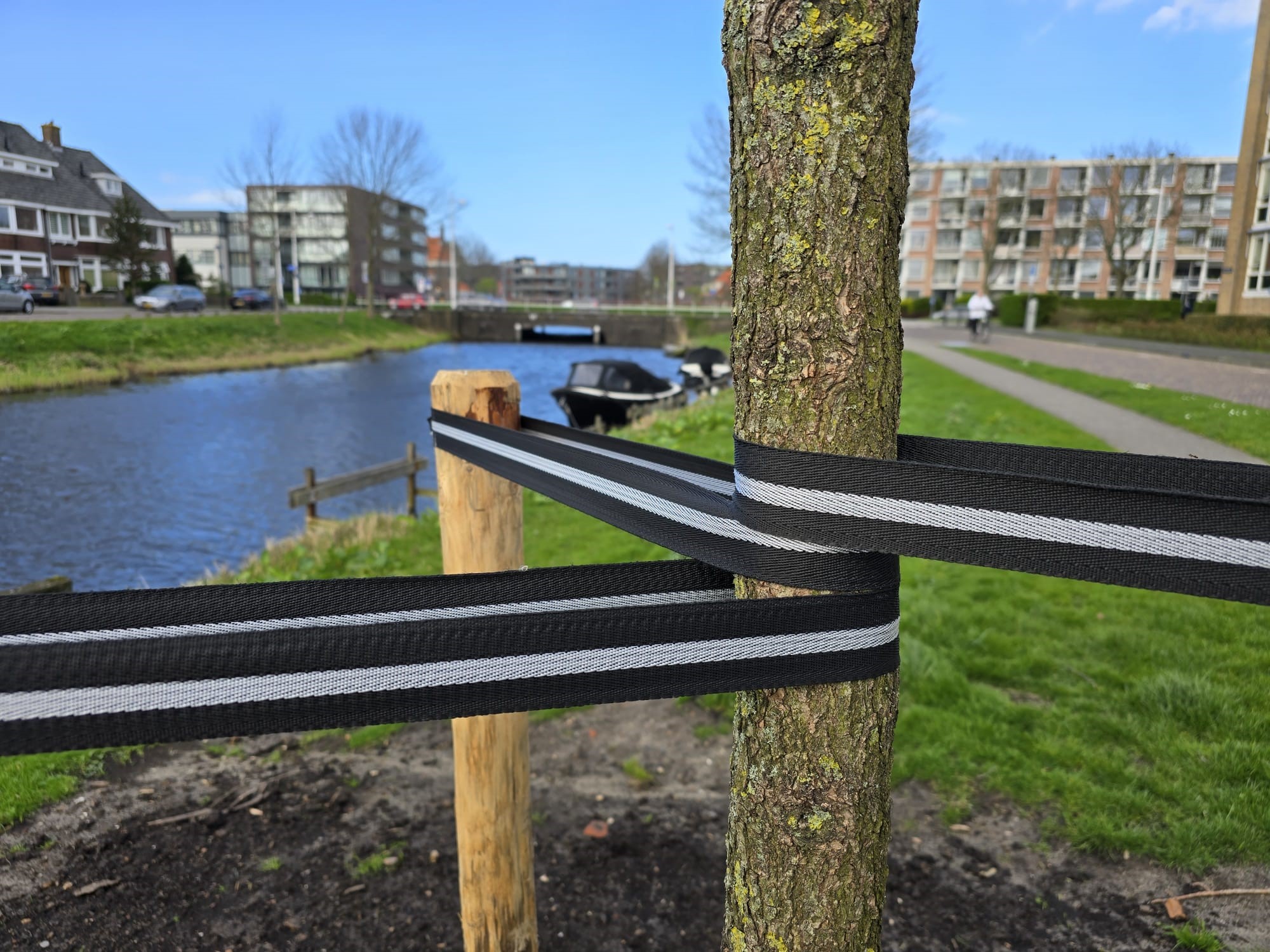 CINTURÓN PARA ÁRBOLES 100% COMPOSTABLE