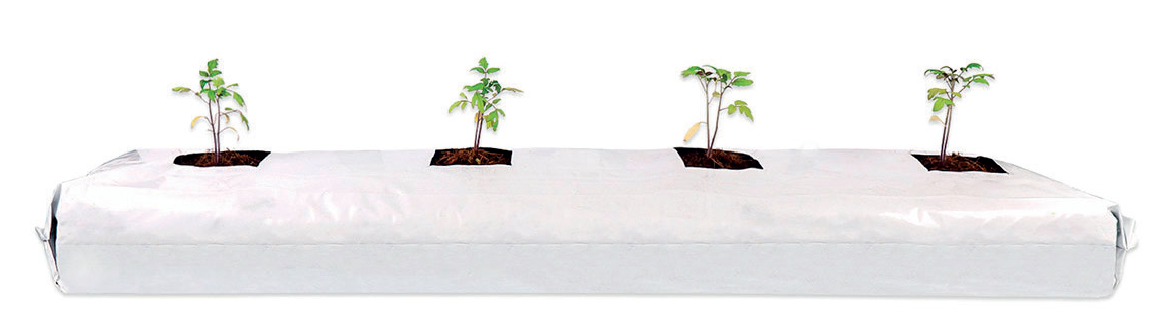 SACO DE CULTIVO HIDROPÓNICO