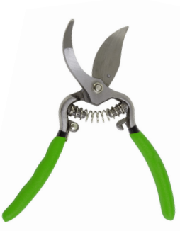 TIJERA CLASSIC PRO 22CM