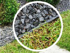 KIT GEO BORDURA 45 + GEO PIN 24 PACK 12 UD